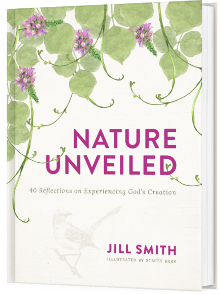 Nature Unveiled by Jill Smith